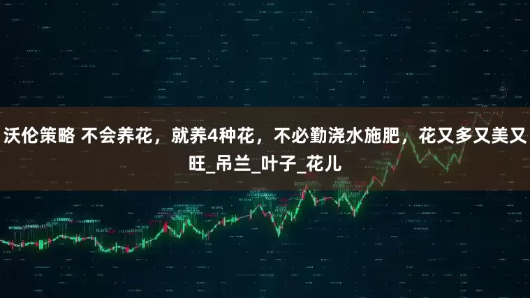 沃伦策略 不会养花,就养4种花,不必勤浇水施肥,花又多又美又旺_吊兰_叶子_花儿