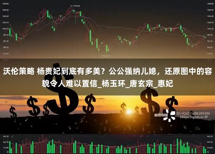 沃伦策略 杨贵妃到底有多美？公公强纳儿媳，还原图中的容貌令人难以置信_杨玉环_唐玄宗_惠妃