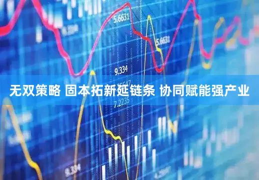 无双策略 固本拓新延链条 协同赋能强产业