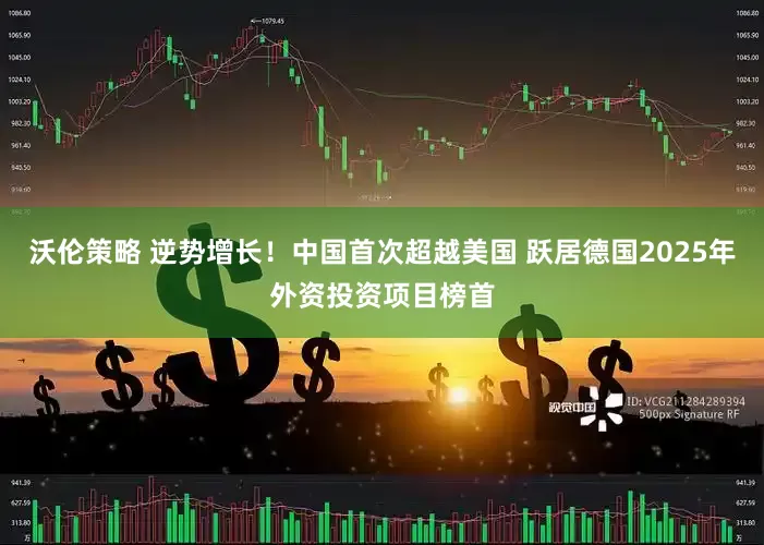 沃伦策略 逆势增长!中国首次超越美国 跃居德国2025年外资投资项目榜首